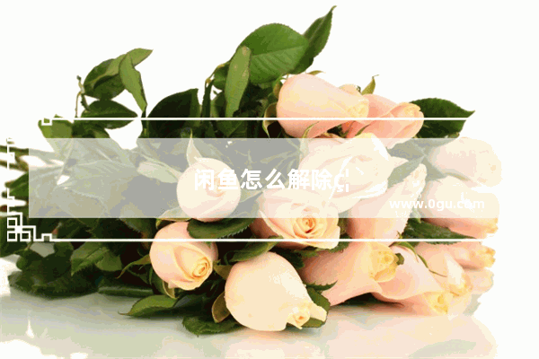 闲鱼怎么解除禁言
