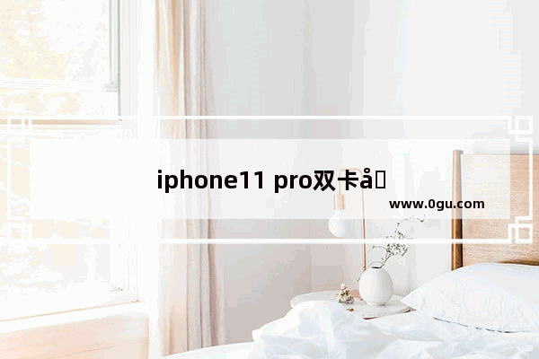 iphone11 pro双卡双待吗