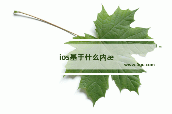 ios基于什么内核开发