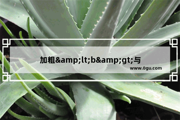 加粗<b>与<strong>的区别分析