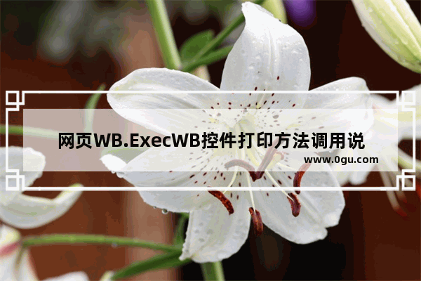 网页WB.ExecWB控件打印方法调用说明及参数介绍