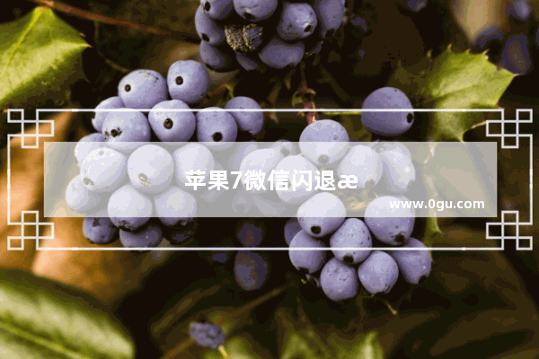 苹果7微信闪退是什么原因