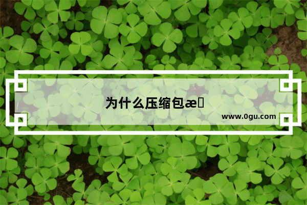 为什么压缩包显示0项