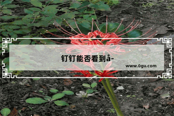 钉钉能否看到学生在干什么