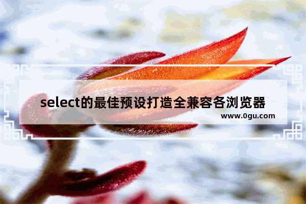 select的最佳预设打造全兼容各浏览器select