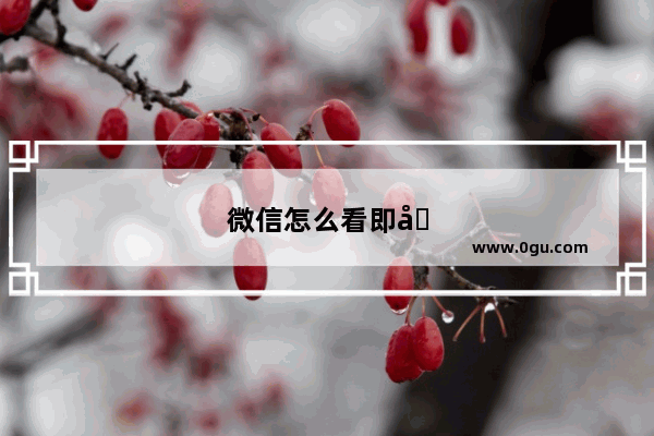 微信怎么看即刻视频