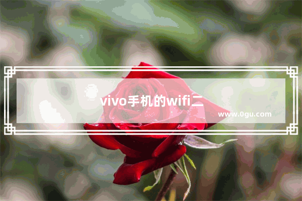 vivo手机的wifi二维码在哪里