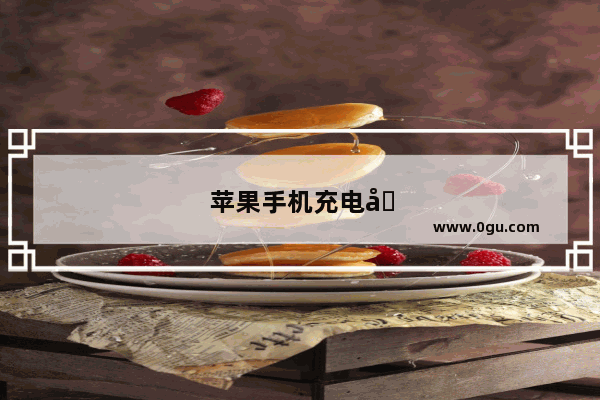 苹果手机充电器电压