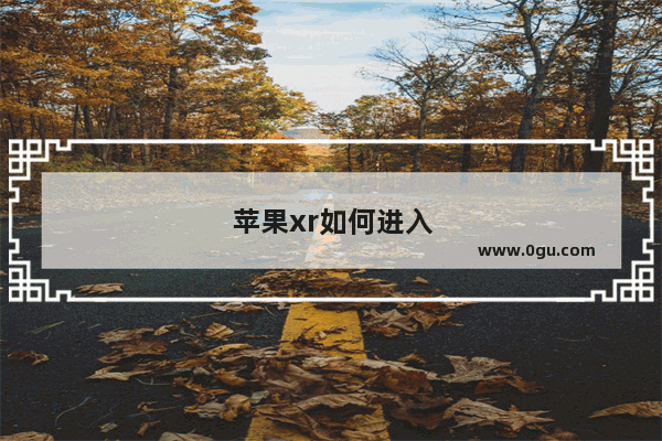 苹果xr如何进入dfu模式