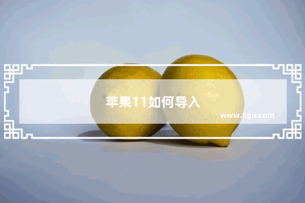 苹果11如何导入通讯录
