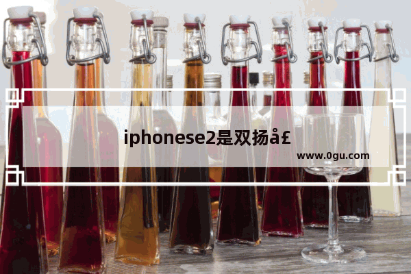 iphonese2是双扬声器吗