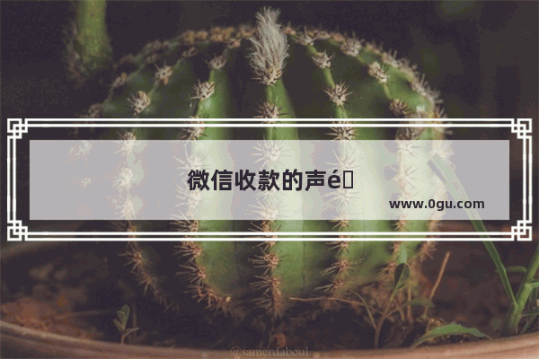 微信收款的声音在哪里设置