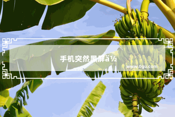 手机突然黑屏但是是开机状态