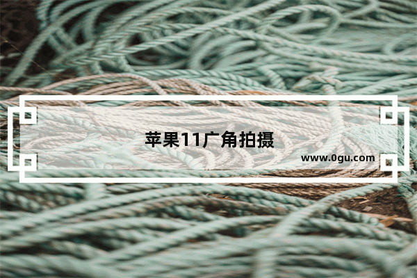 苹果11广角拍摄怎么用