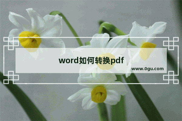 word如何转换pdf