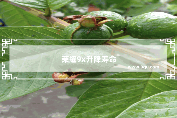 荣耀9x升降寿命
