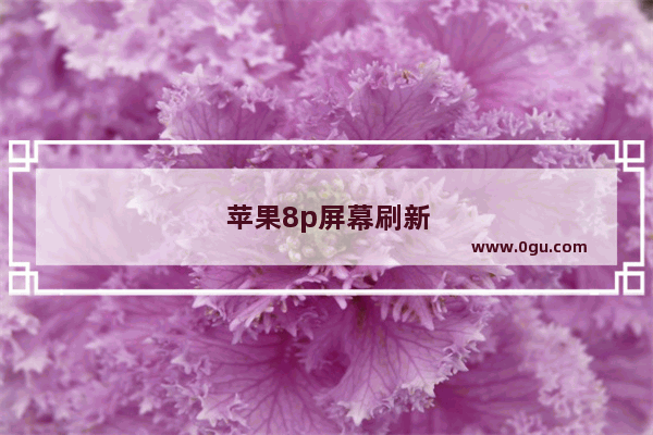 苹果8p屏幕刷新率多少hz