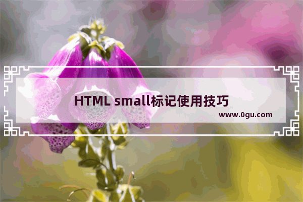 HTML small标记使用技巧