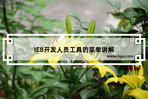 IE8开发人员工具的菜单讲解