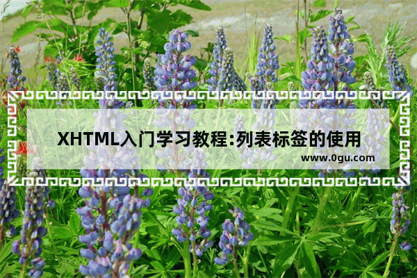 XHTML入门学习教程:列表标签的使用