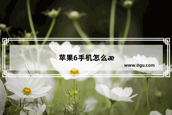 苹果6手机怎么清理内存