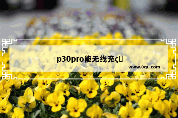 p30pro能无线充电吗