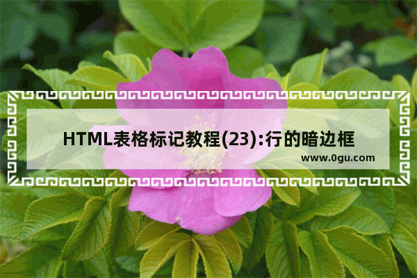 HTML表格标记教程(23):行的暗边框色属性BORDERCOLORDARK