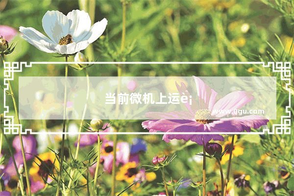 当前微机上运行的Windows属于