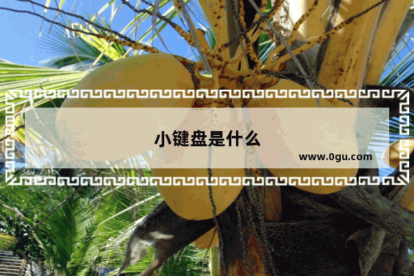 小键盘是什么