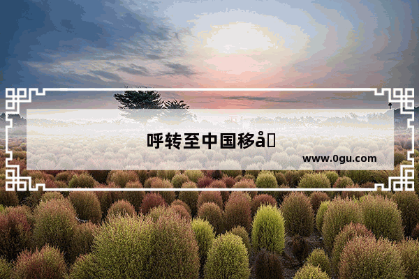 呼转至中国移动来电提醒服务什么意思