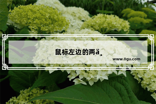 鼠标左边的两个键是干什么的
