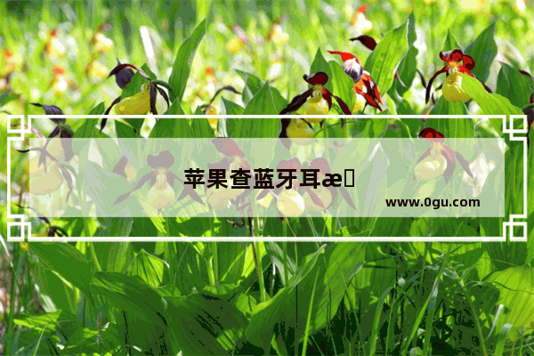 苹果查蓝牙耳机电量