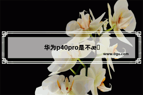 华为p40pro是不是双扬声器