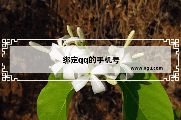 绑定qq的手机号丢了怎么解绑