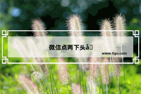 微信点两下头像会抖动