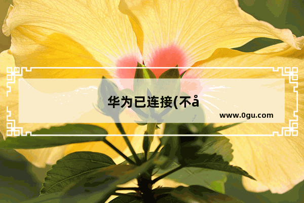 华为已连接(不可上网) 但是wifi正常