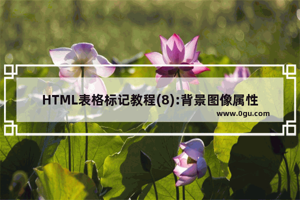 HTML表格标记教程(8):背景图像属性BACKGROUND