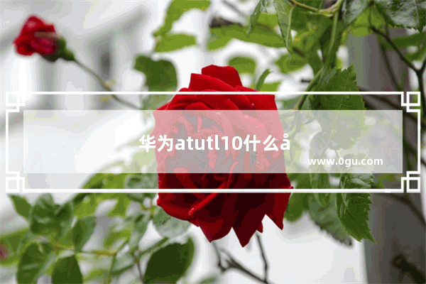 华为atutl10什么型号