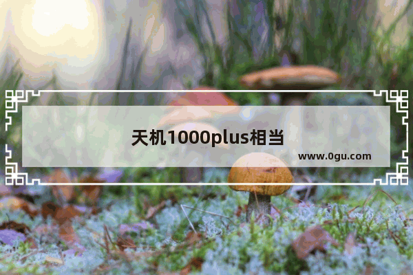 天机1000plus相当于骁龙的什么处理器
