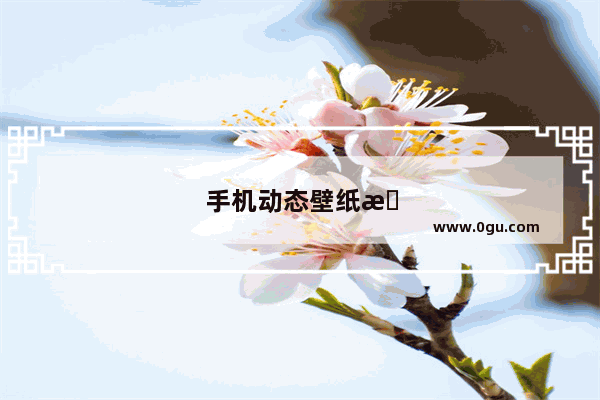 手机动态壁纸怎么弄的