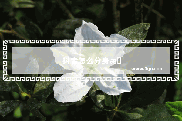 抖音怎么分身成两个