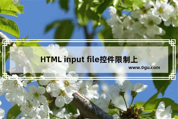 HTML input file控件限制上传文件类型 动力节点Java学院整理