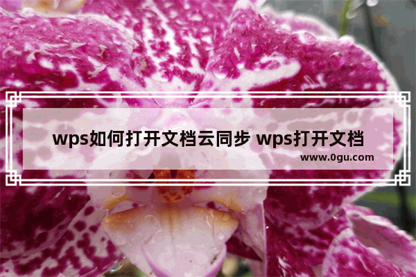 wps如何打开文档云同步 wps打开文档云同步的方法