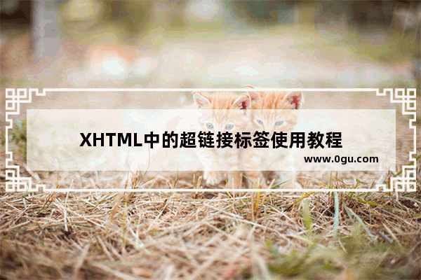 XHTML中的超链接标签使用教程