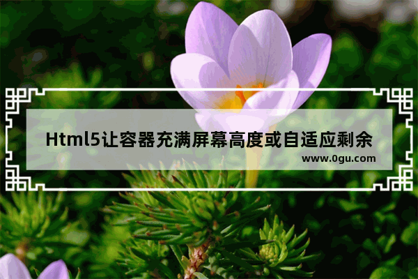 Html5让容器充满屏幕高度或自适应剩余高度的布局实现