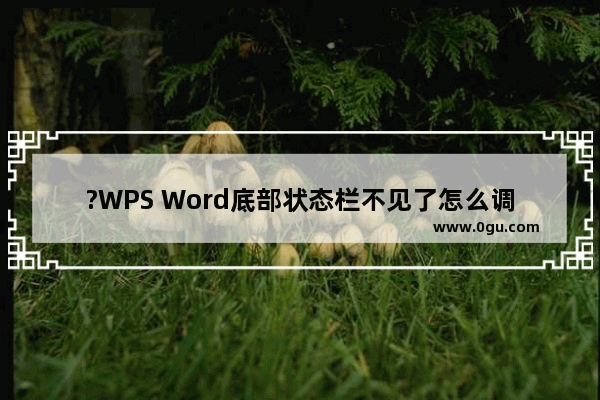 ?WPS Word底部状态栏不见了怎么调出来 WPS文档恢复底下显示栏的方法教程
