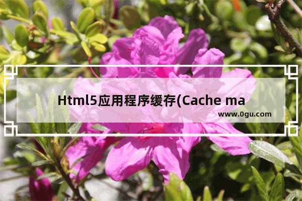 Html5应用程序缓存(Cache manifest)
