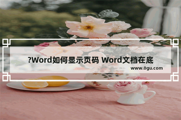 ?Word如何显示页码 Word文档在底部设置页数的方法教程