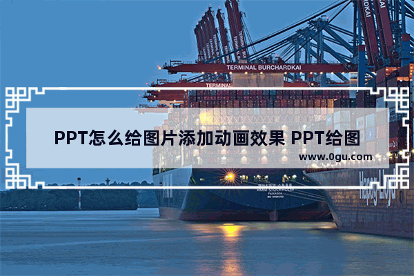 PPT怎么给图片添加动画效果 PPT给图片添加动画效果的方法