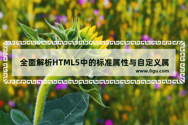 全面解析HTML5中的标准属性与自定义属性